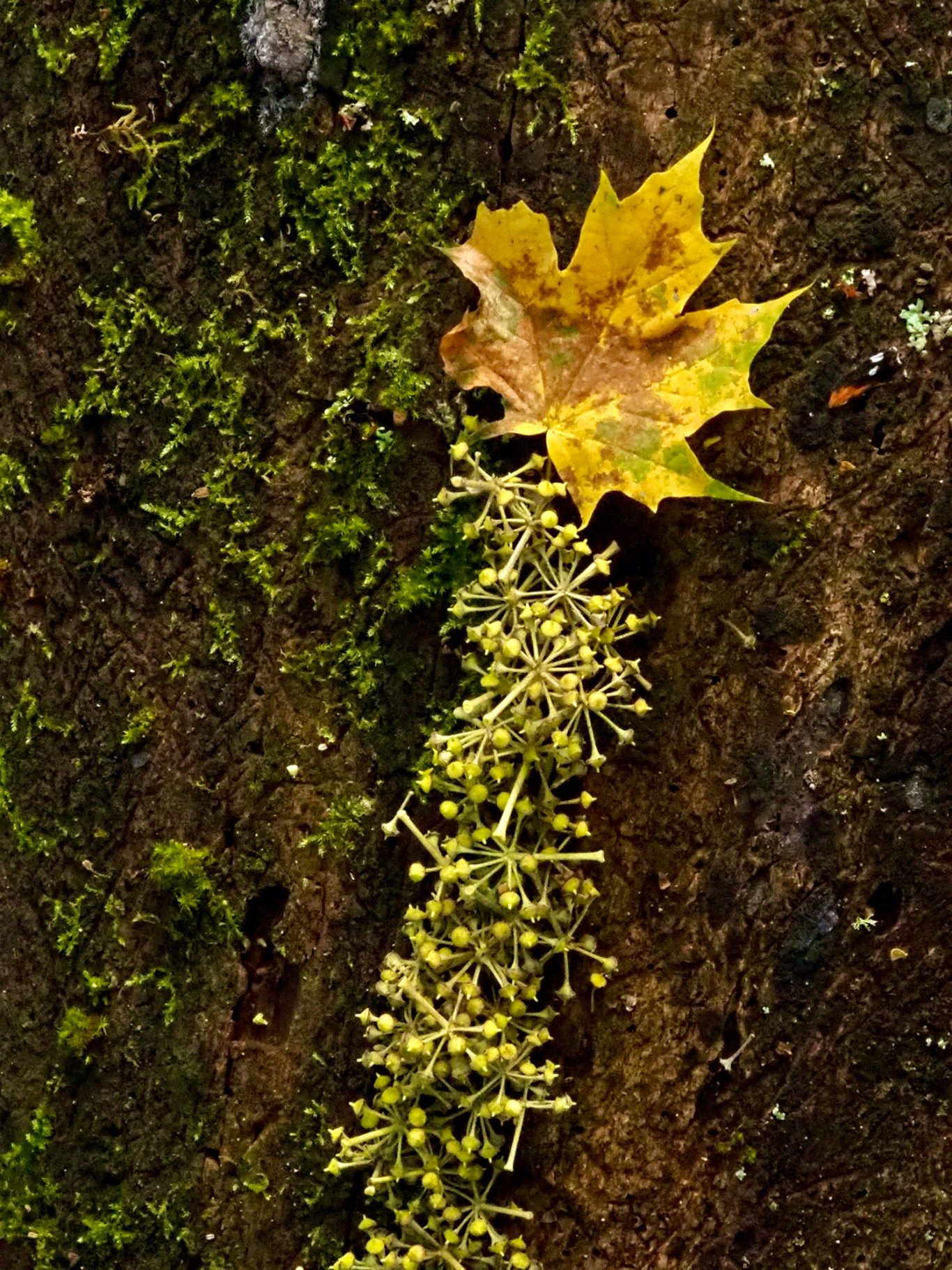 Autre mix me contacter