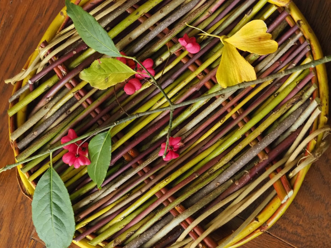 Combo vannerie : 180 €